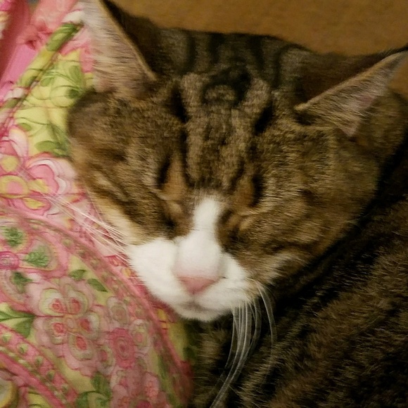 Meet your Posher, Anne - Picture 1 of 1